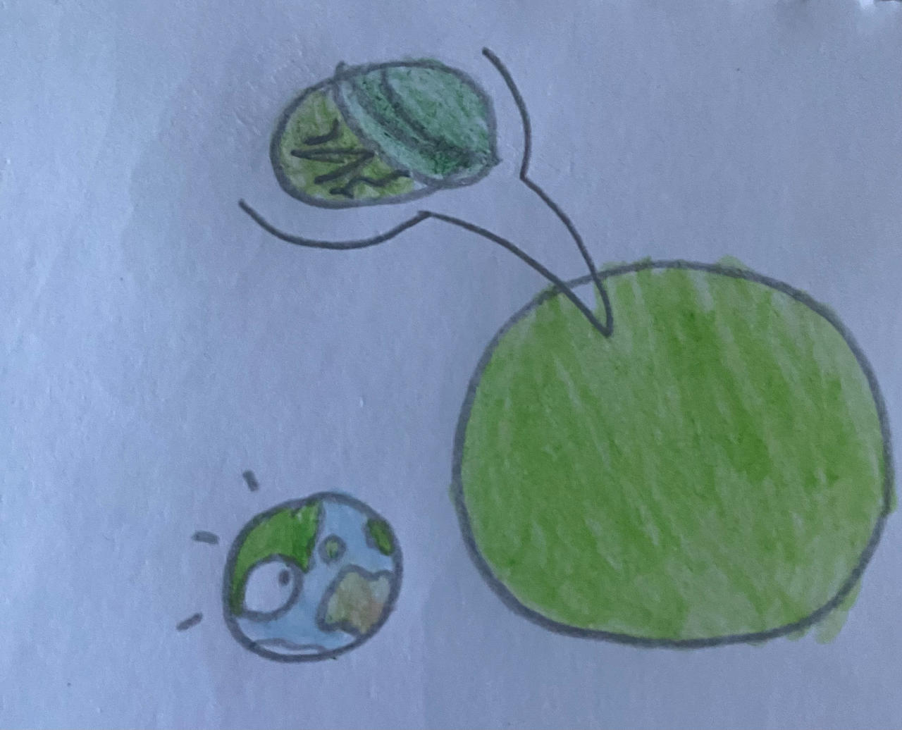 planet mint