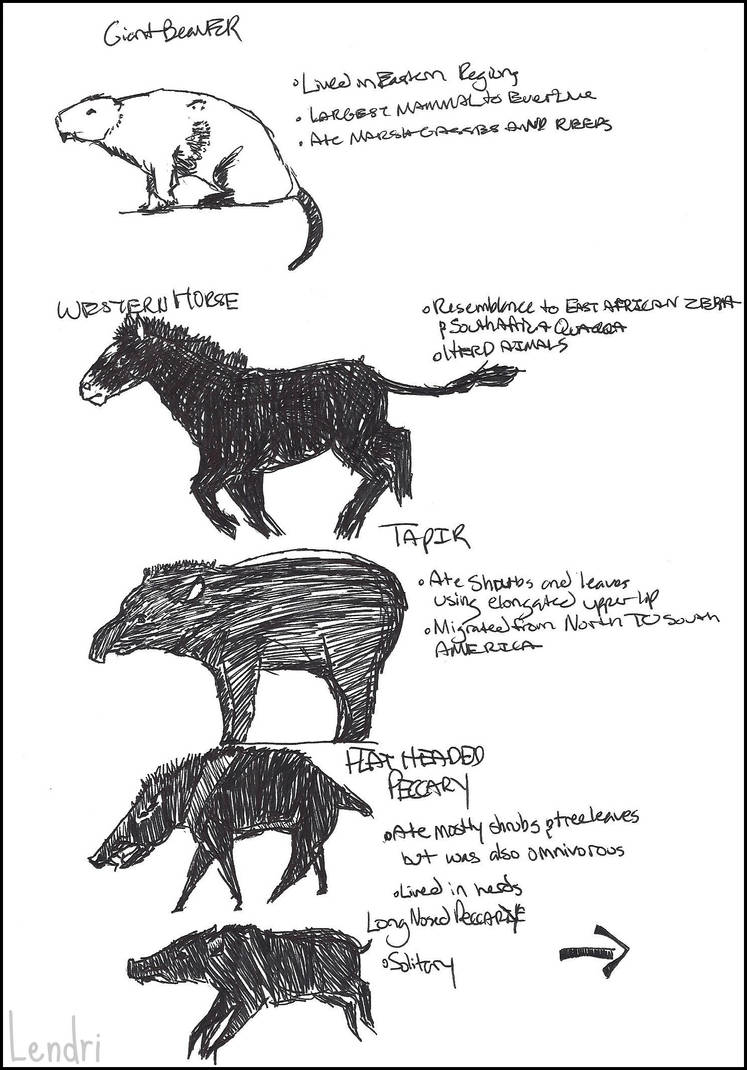 Prehistoric Mammals and Brds6 by Emmalendri on DeviantArt