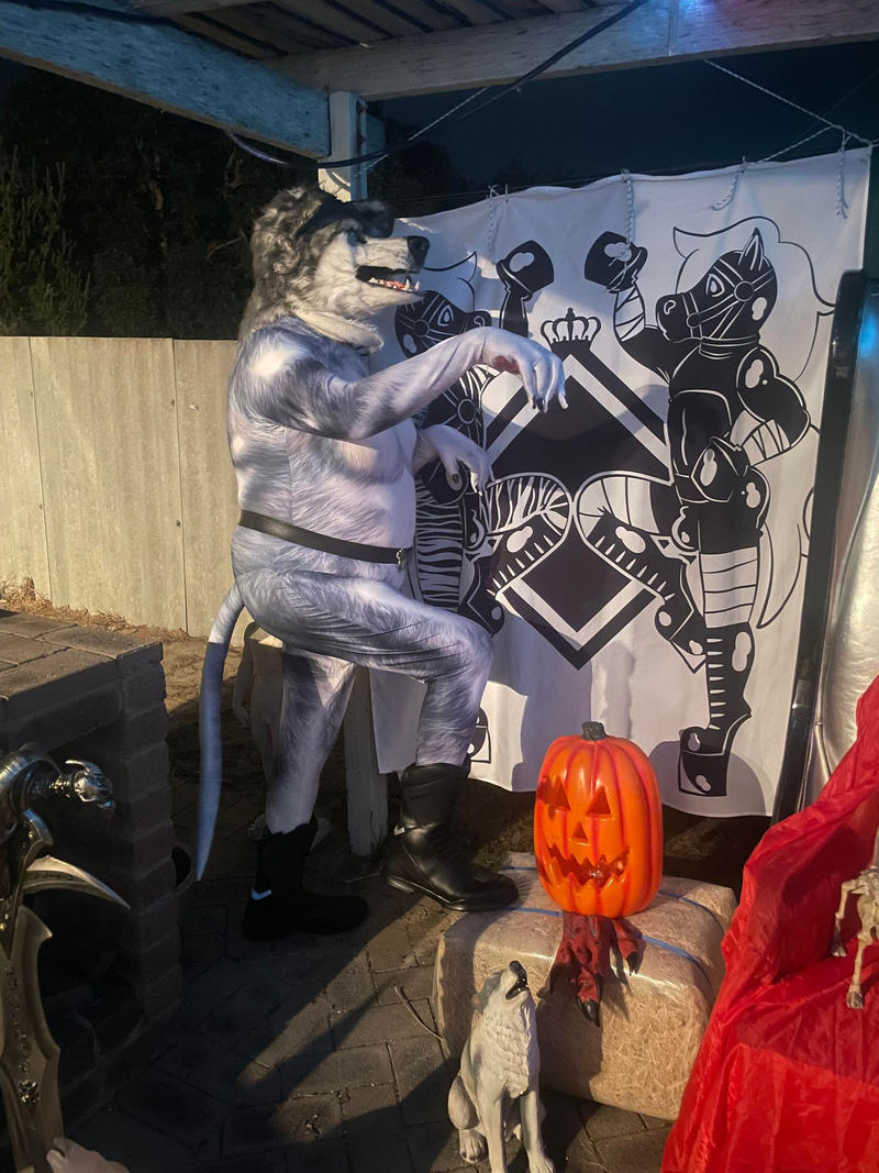 Haloween Wolves Halloween Wolf 17 by GothamWolfess on DeviantArt