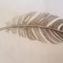 feather