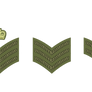 British NCO Ranks