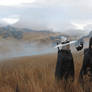 Grasslands