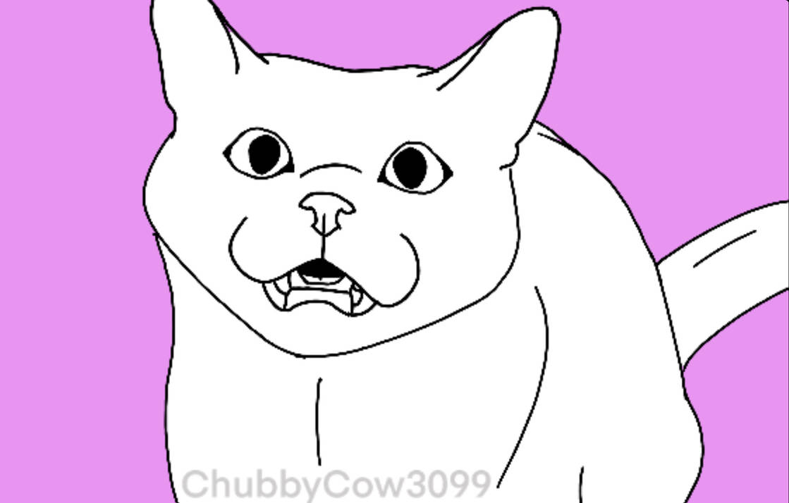 Cat Base 2 by ChubbyCow3099 on DeviantArt