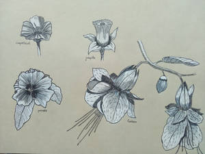 Flowers study