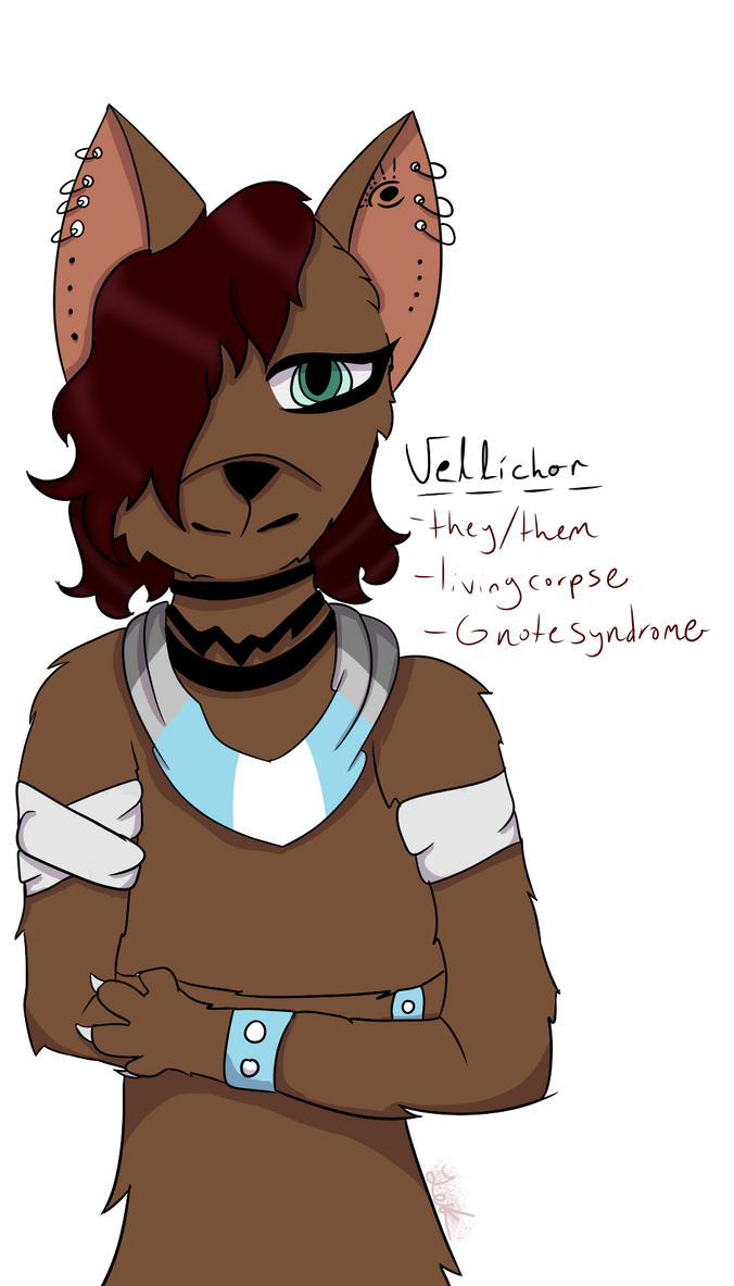 fursona redesign by LuckManiac on DeviantArt