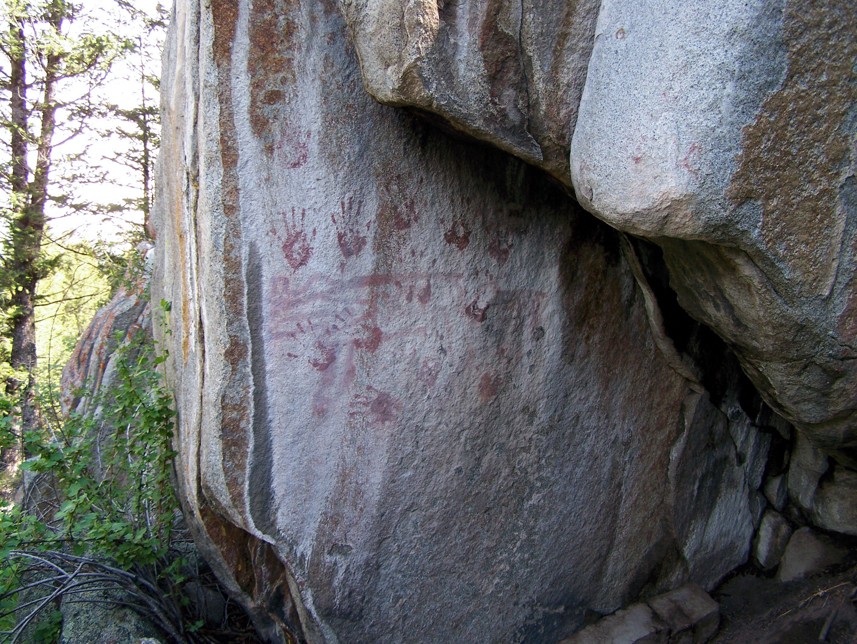 RAWRRRR Grizzly Bear Totem?