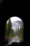 Tunnel Vision by drigulch