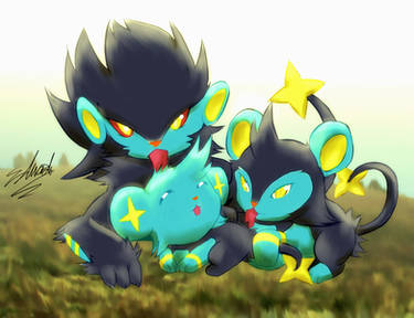 PRESENT - Shinx Family