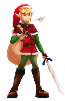 Christmas 2013 - Link from The Legend of Zelda