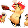 Typhlosion Family