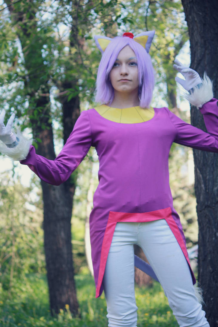 Blaze The Cat By ShadDarkov On DeviantArt blaze-the-cat-by-shaddarkov-on-deviantart