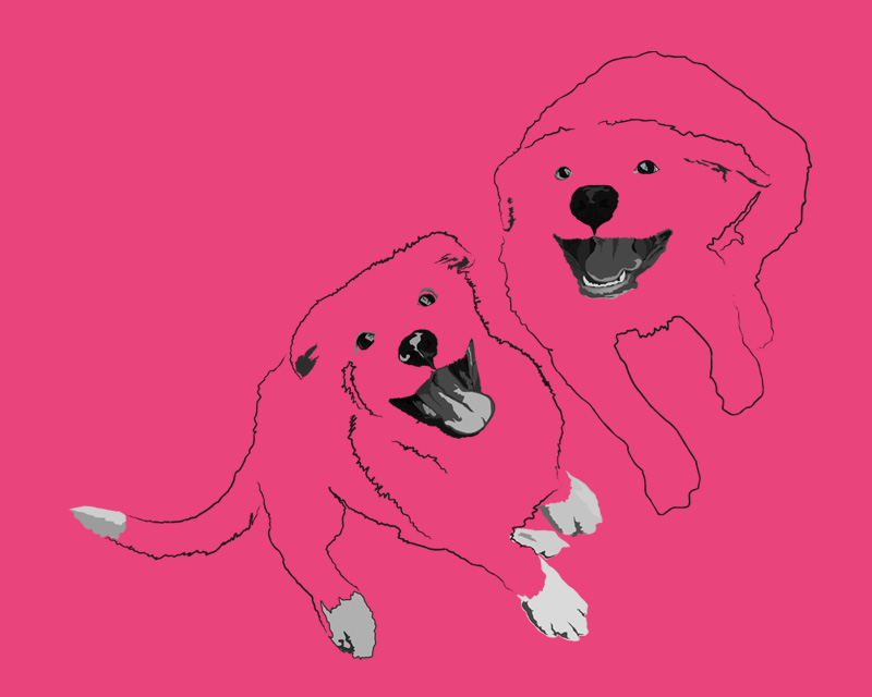 Smiling Dogs