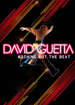 David Guetta Poster 2