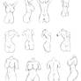 Practice Torso whole sheet