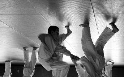 Aikido Seminar February 2014