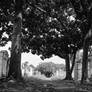 Lafayette Cemetery No. 1