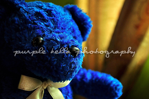 Teddy Blue