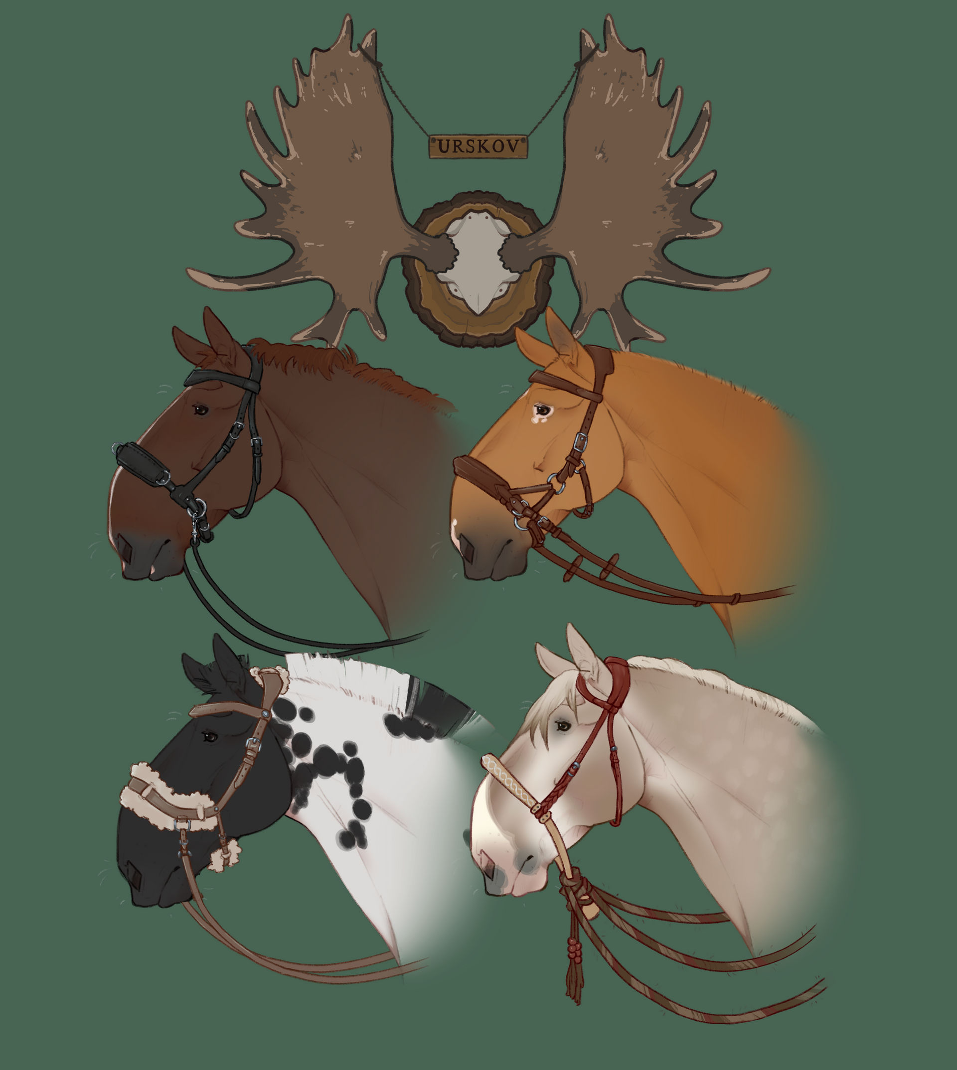 Urskov | Bitless Bridles
