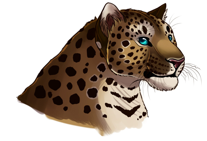 Leopardtest