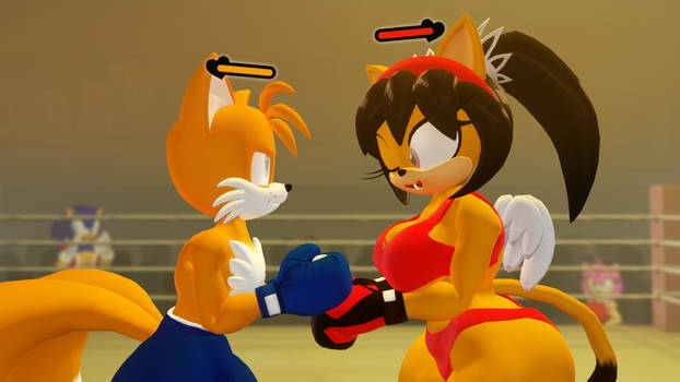 Deviantart Tails Boxing dizbox User Profile | DeviantArt