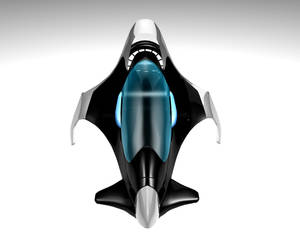 concept bat plane