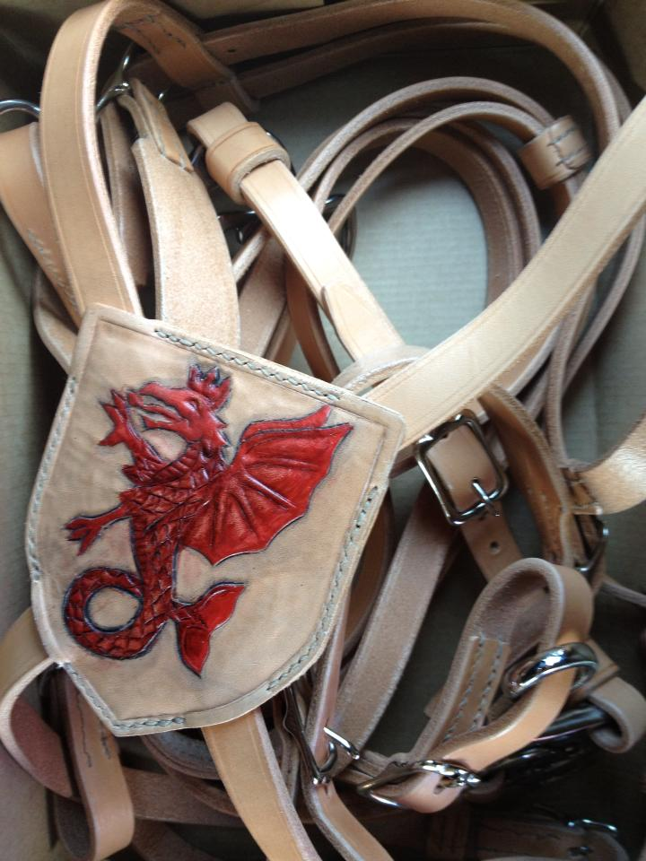 Wyvern bridle: detail