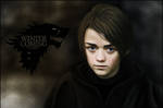 Arya Stark : Song of Ice and Fire