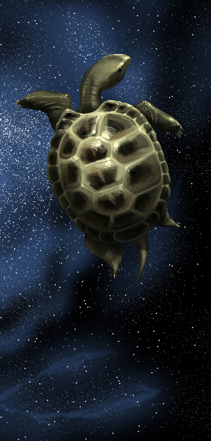 Turtle in SPACE