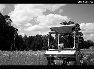 Man, Nature and a Golf Cart