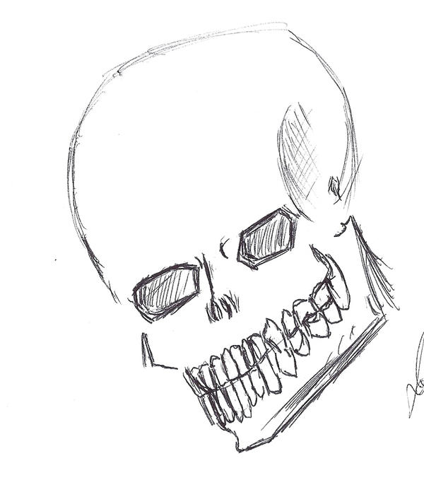 Skull Study