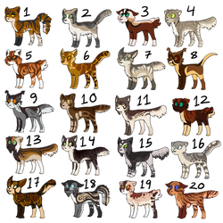 90 pt cat adopts (CLOSED)