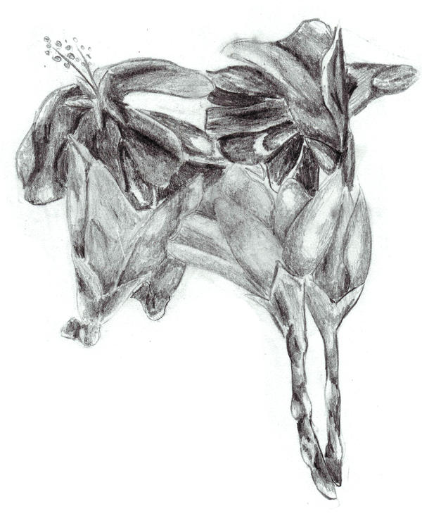 Horse Of Flowers