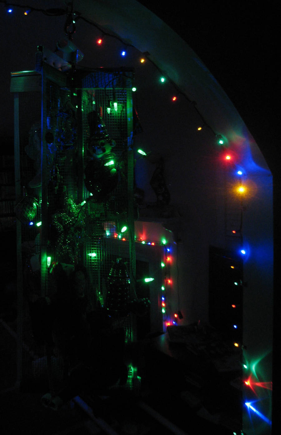 Holiday Kelp Forest by dhorlick