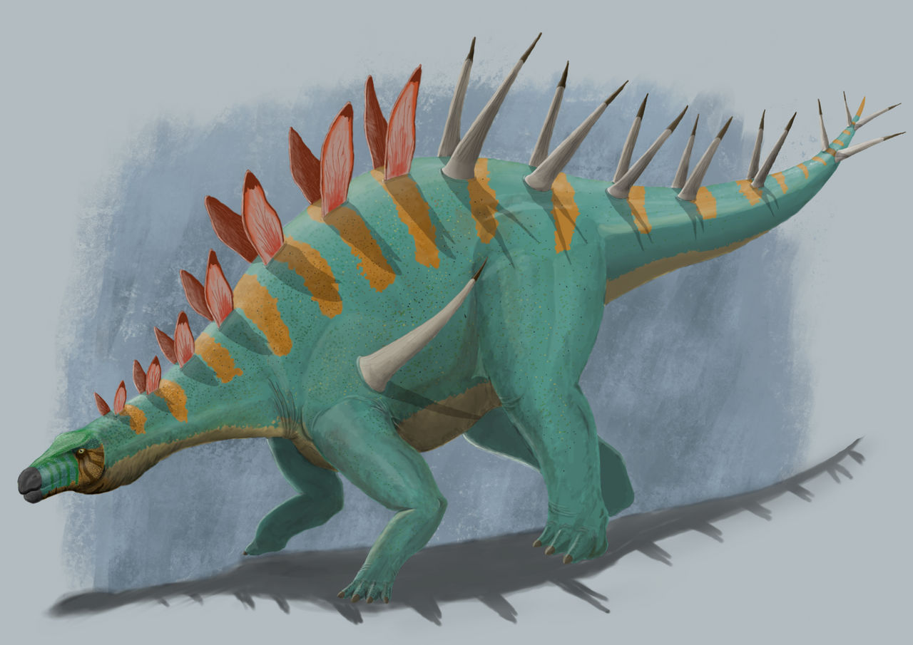 Kentrosaurus by Chris-CKY on DeviantArt