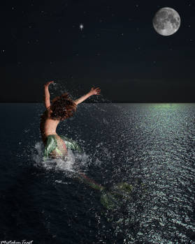 Moonlight Leap
