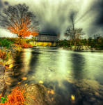 Fall Foliage by IraMustyPhotography