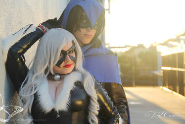 black cat nightwing crossover