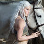 Game of Thrones | Daenerys + Silver