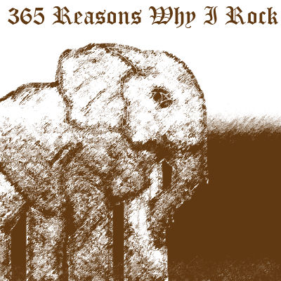 365 Reasons Why I Rock