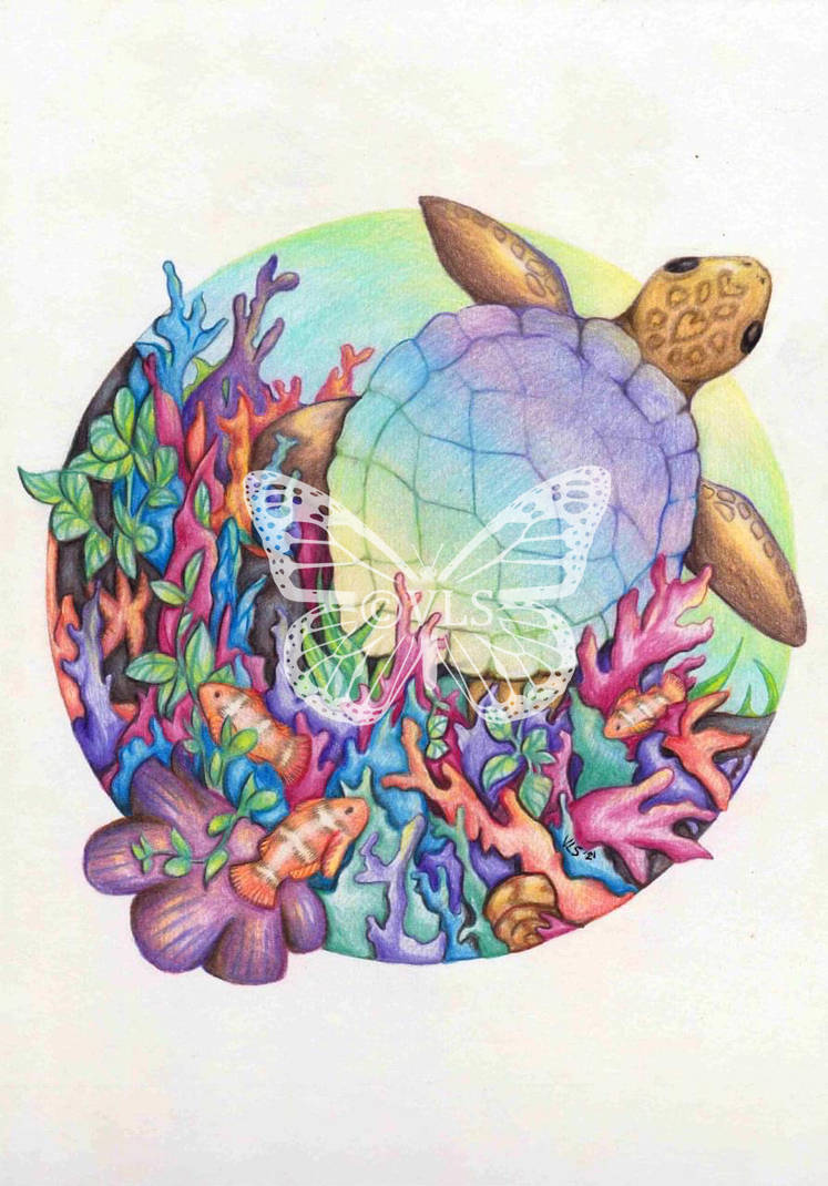 Turtle on the Reef by SivvusLeanne on DeviantArt