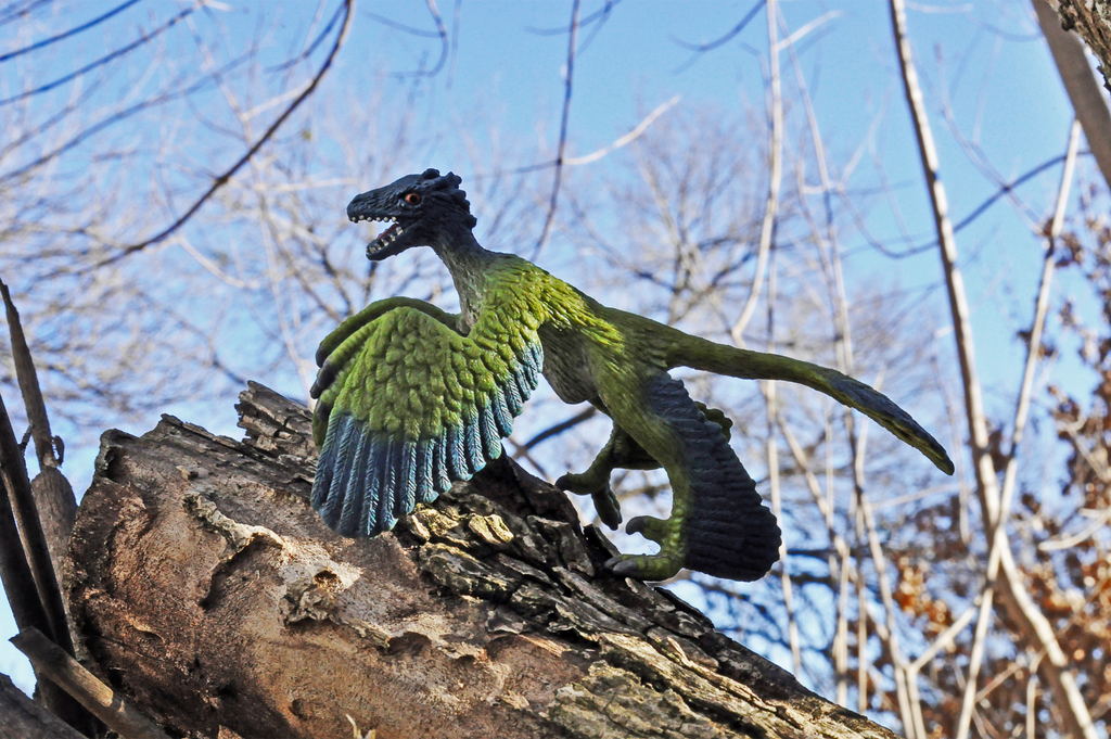 Microraptor by Schleich by VexCollects on DeviantArt