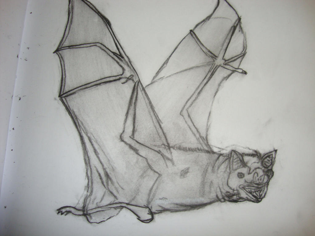 Non Detailed Bat Bat by BelowAverageArtist on DeviantArt