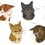 Warrior Cat Headshots