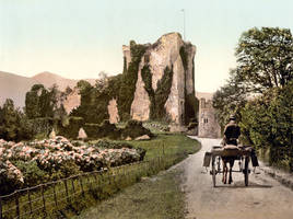 Ross Castle restoration II