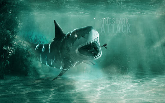 THE SHARK ATTACK