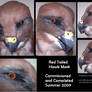 Red Hawk Mask