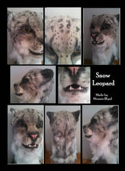 Snow Leopard Auction