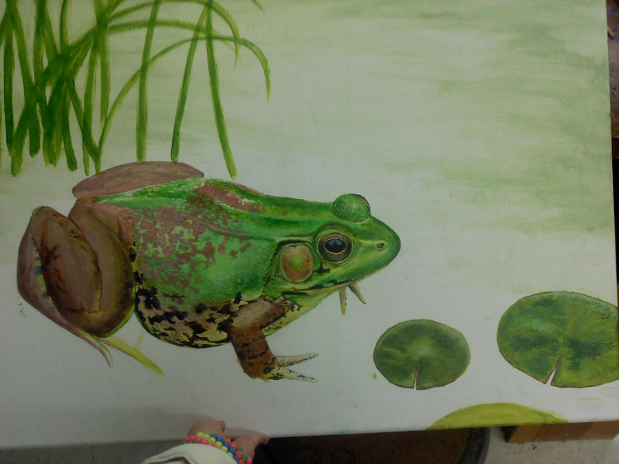 Bullfrog WIP by CallieFink on DeviantArt