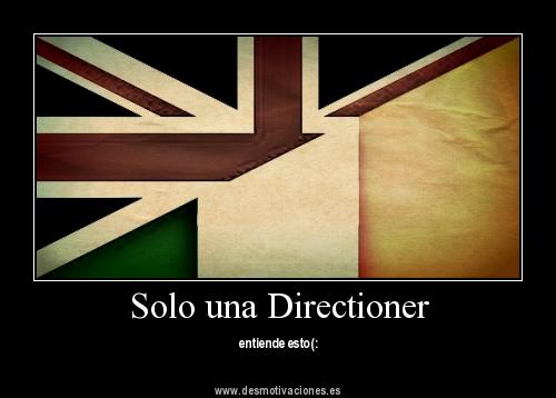 Bandera One Direction