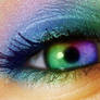 Rainbow Perfection